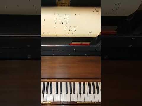 Just A Bundle of Sunshine 🌞 (Fox Trot clip) #song #music #dance