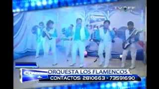 VIDEO: ENAMORADOS - EXITO 2014