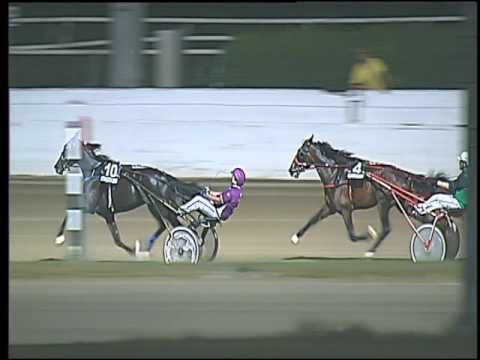 Trotto 23/07/2016 - 1° corsa