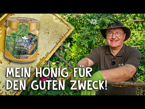 Harvest, extract, and stir honey! 🍯 - Garden Coach: Enjoy honey & support flood victims