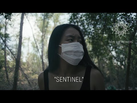 Hope The Flowers - Sentinel (Official Video)