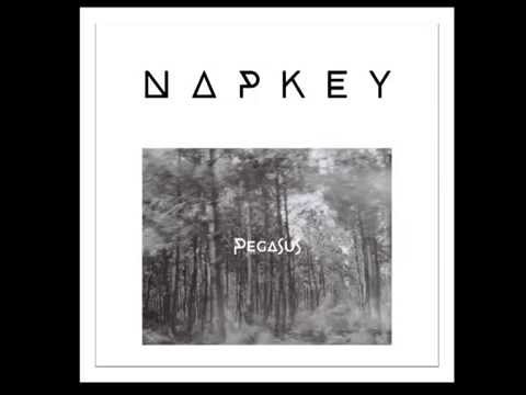 Napkey - Pegasus