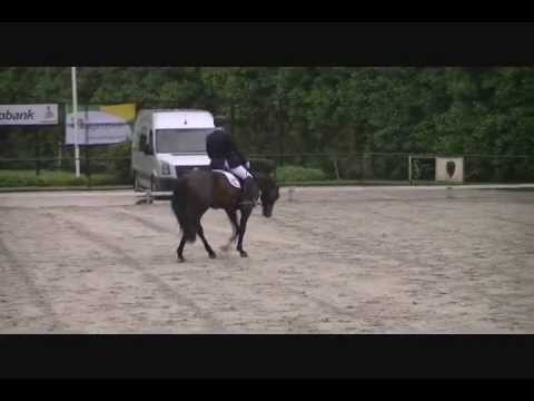 Don Bravour RDH (Painted Black x Chronos)