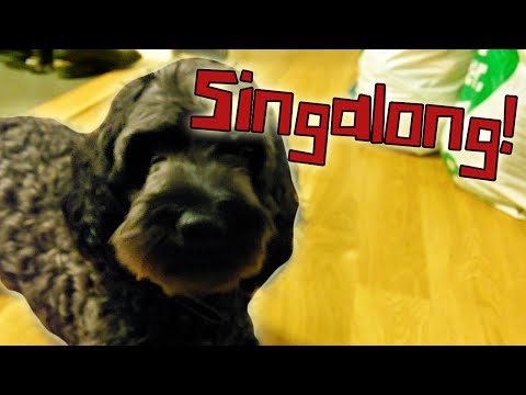 FROLLES HUND SJUNGER