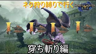 [MHRISE]穿ち斬り部隊が行く霞龍