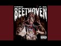 Beethoven Feat DDG
