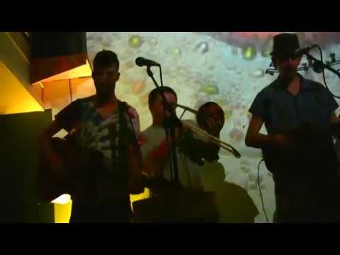 The WEiRD BeArDs- Cat Dog