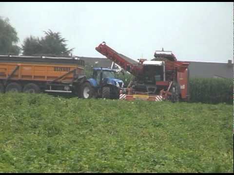 Van Bruwaene R & zn - Egem