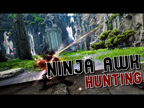 검은사막 각성닌자 님파마레 성 사냥ㅣBDO Awakening Ninja Nymphare Castle Hunt