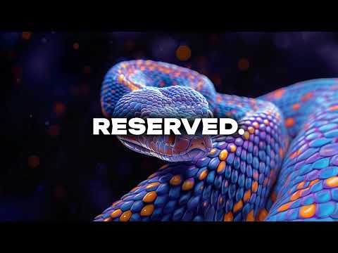 Shade - Reserved #007 :: Shade, Vintage Culture, Bruno Be, Zerky, Manimal e outros