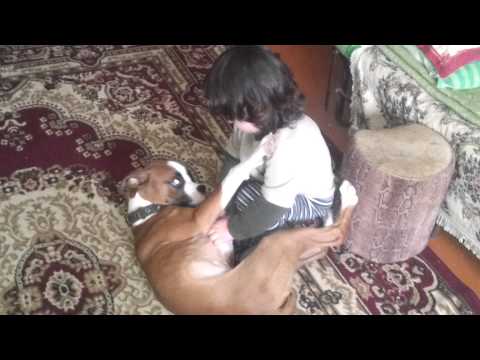 Назрин играет с собакой