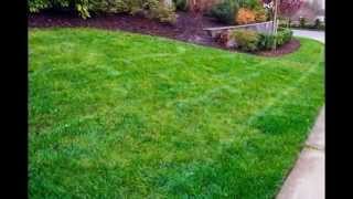 preview picture of video 'Lawn Mowing Companies near North Canton Ohio | Best Lawn Mowing 44720 | Alpine Landscaping'