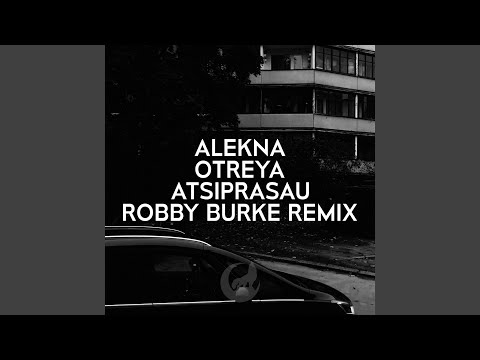 Atsiprašau (Remix)