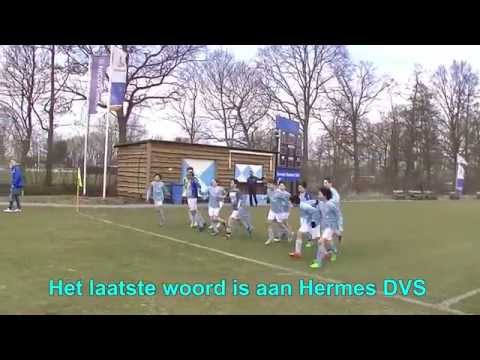 Samenvatting Hermes DVS D1 -  HOVDJSCR D1