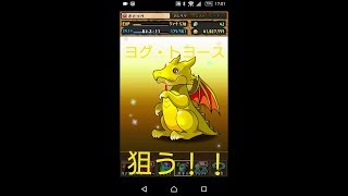 ゴッドフェスでヨグ・トヨース狙う！！パズドラ実況