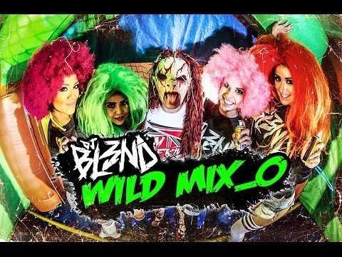 Video Wild Remix de DJ Bl3nd