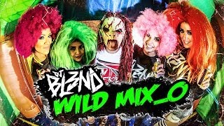Video Wild Remix de DJ Bl3nd