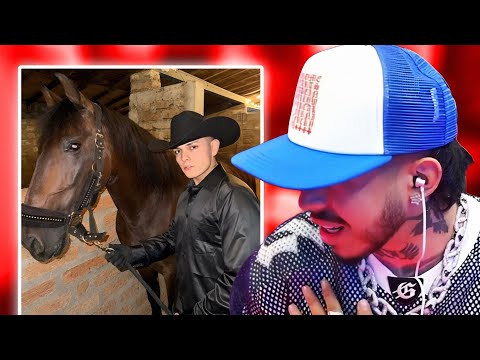 WestClips and WestCOL