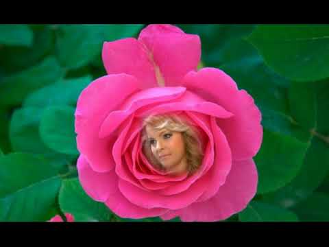 Iveta Bartošová Rozvíjej se poupátko