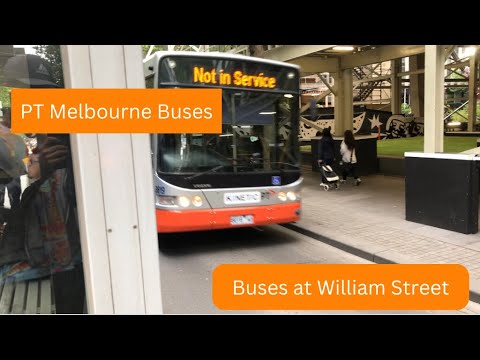 Buses at William Street vlog#53
