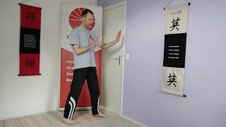 Zelfverdedigingshouding