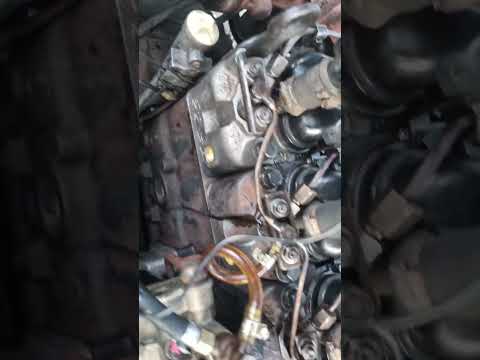 Temperatura do motor mwm 229 do motor Bob Esponja fico super top 45° graus