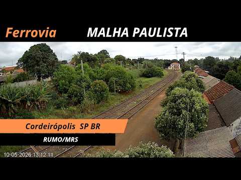 TREM AO VIVO CORDEIRÓPOLIS SP BRASIL
