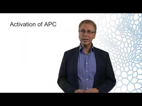 Lecture 3-3: Ischemia reperfusion injury