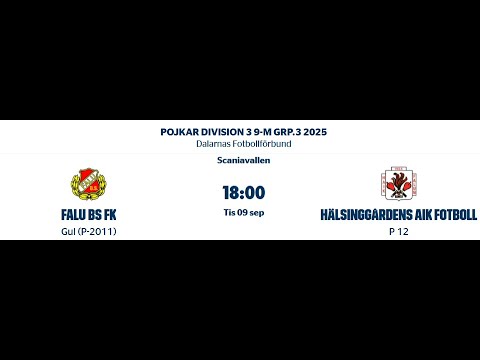 FALU BS 2011  - HAIK