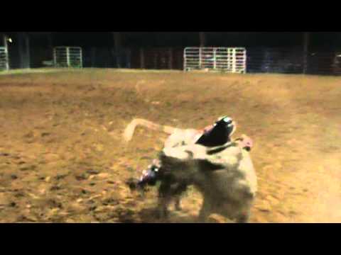 josh on high voltage