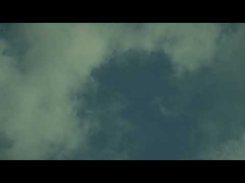 Das Paradies  - Bei den Regendrops (Offizielles Lyric Video)