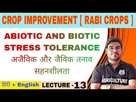 Crop Improvement rabi crops syllabus analysis bsc av 6th semester
