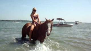 preview picture of video 'Dually goes to the Beach funny horse'