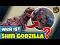 Shin Godzilla Erklärt Wird Shin Godzilla Evolved Zum Neuen MonsterVerse Gegner