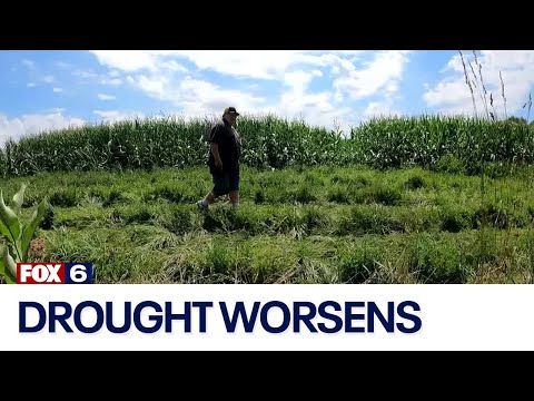 Wisconsin drought: Farmers pressing on | FOX6 News Milwaukee