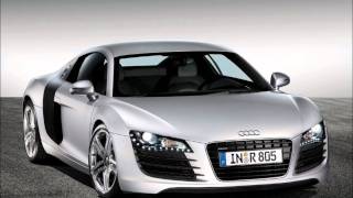 Ready To Party - Elephant Man