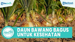 Makan Daun Bawang Bagus untuk Kesehatan Tubuh, Ini Kandungan Nutrisi & Manfaat yang Perlu Diketahui