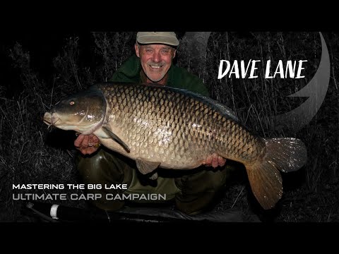 Mastering the Big Lake: Dave Lane's Ultimate Carp Campaign!