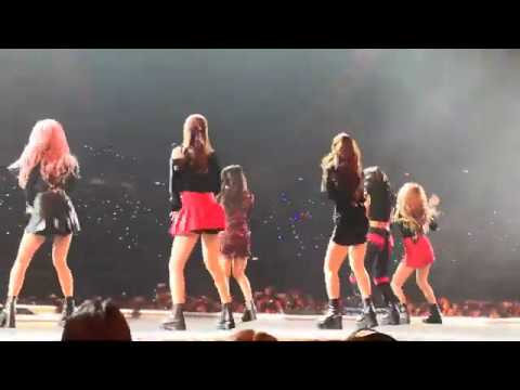 [FANCAM] 191110 Momoland uh-gi-yeo-cha(어기여차) @Kamp 2019