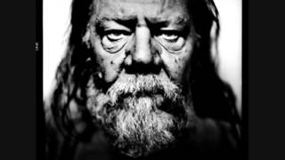 Roland Van Campenhout The Spider and the Fly