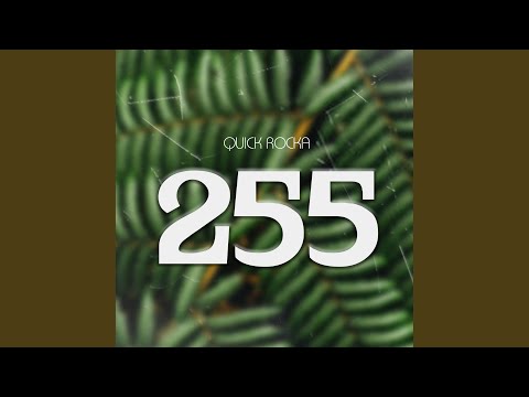 255 (feat. Belle 9)
