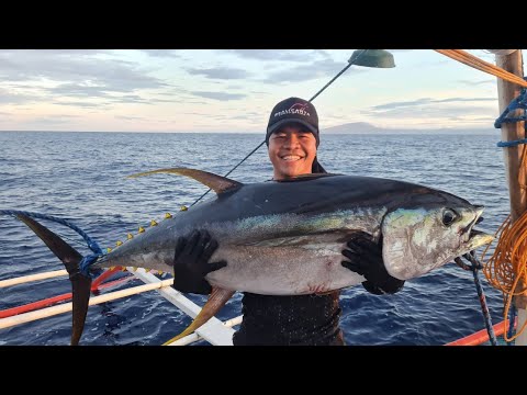 EP817-P1 - Day 5 of Tuna Series