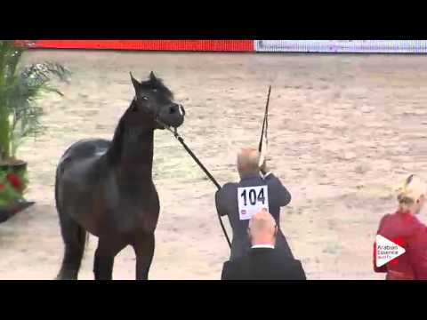 WAHC 2015 - Class CM 5B