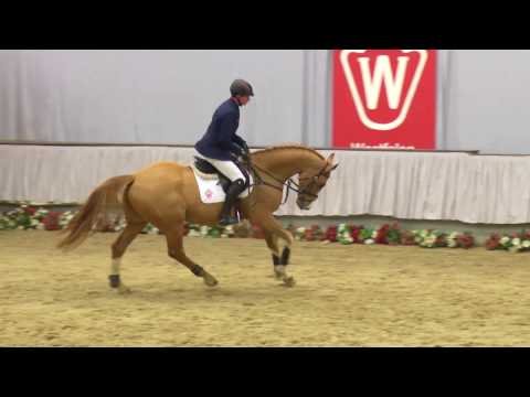 21  Las Vegas Wallach v. Los Angeles - Pilot´s Ass