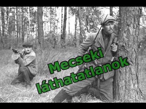 A Mecseki Láthatatlanok - '56 legkitartóbb hősei