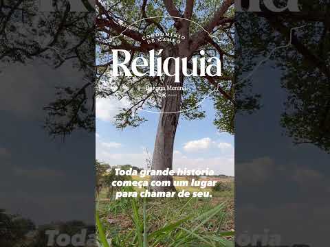 Toda grande história começa com um lugar para chamar de seu.#hidrolandia #goias #goiania #shorts
