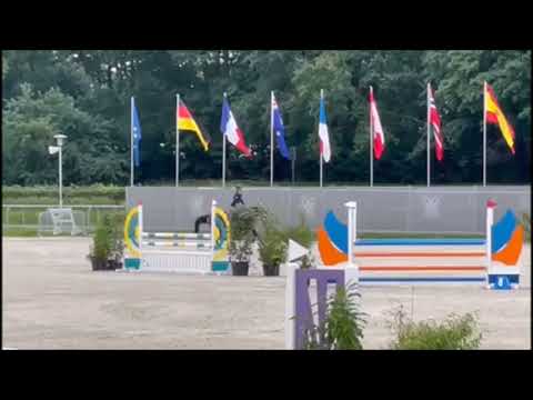 MILADY 5j. v. Malito de Reve - Berlin VB 20.000,- Euro