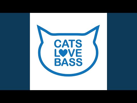 Bienvenidos a Africa