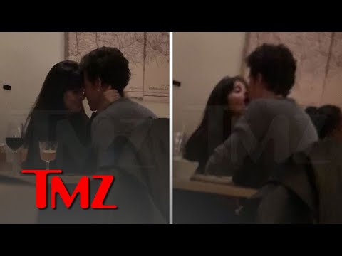 Camila Cabello and Shawn Mendes Making Out in Toronto Restaurant | TMZ