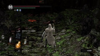 【二週目ダクソ】マヌス倒す人来て下さい